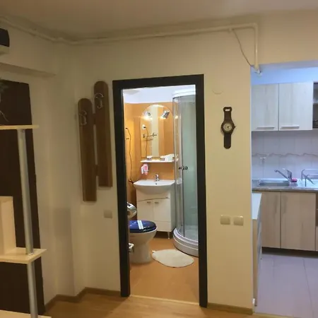 Apartmán Chic Minisuite Mirage-self Check-in&free Parking Sinaia
